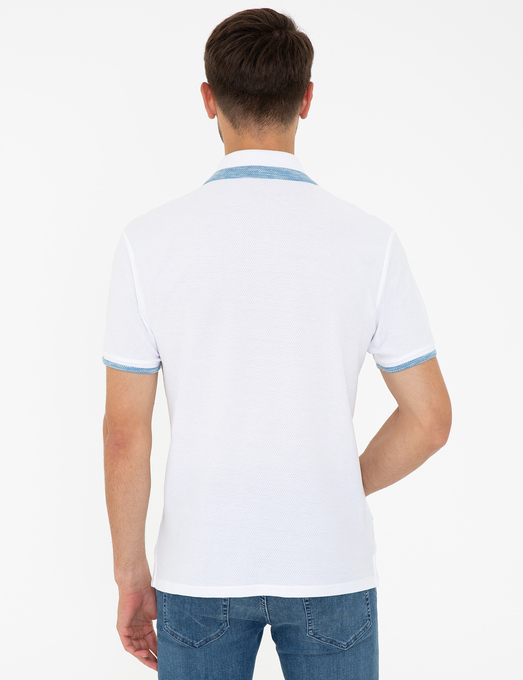 پولو شرت مردانه پیر کاردین