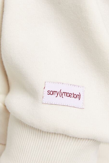 سوییشرت و هودی مردانه برشکا