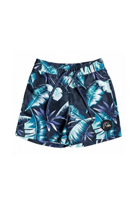 مایو مردانه کوییک سیلور