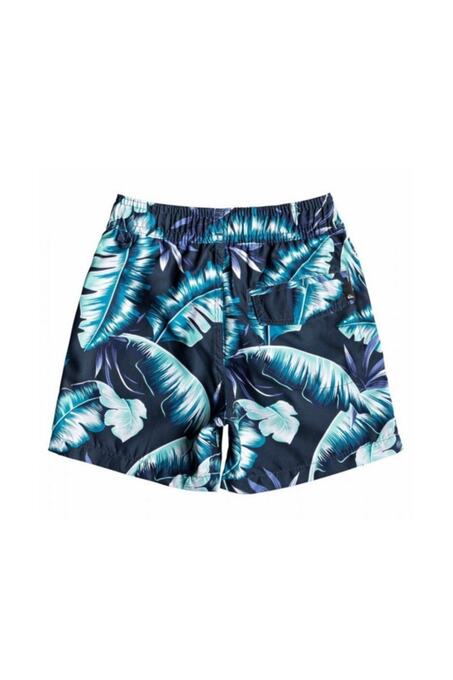 مایو مردانه کوییک سیلور