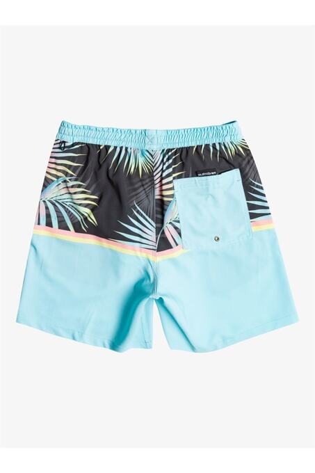 مایو مردانه کوییک سیلور