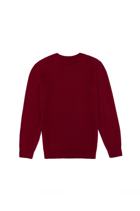 پولیور بچه‌گانه یو اس پولو