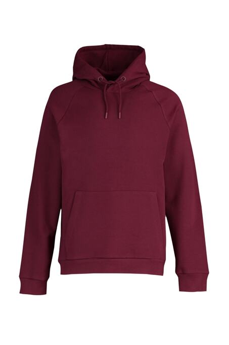 سوییشرت و هودی مردانه ترندیول مَن