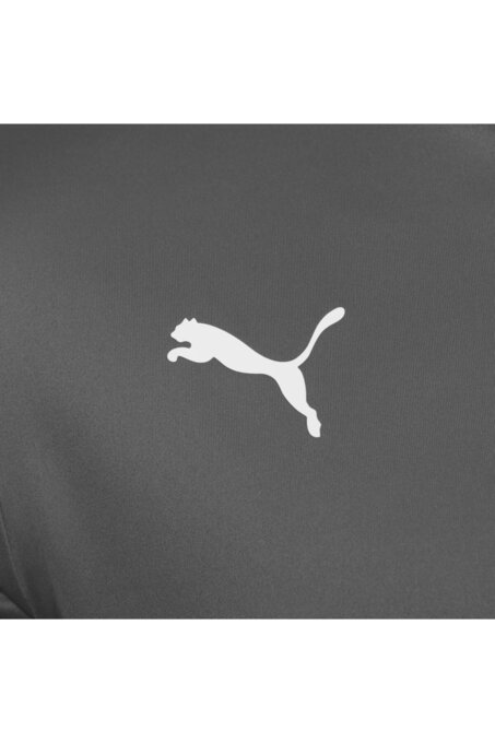 تی شرت آستین کوتاه مردانه پوما