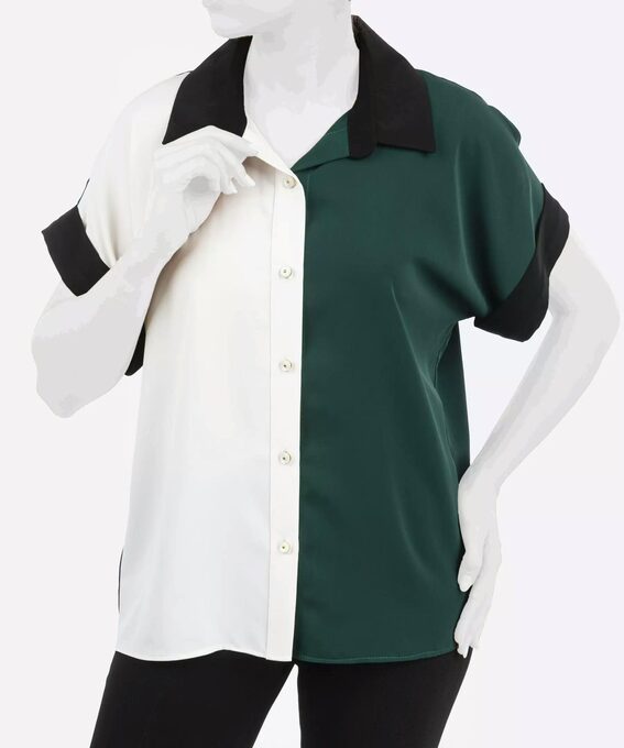 شومیز چند رنگ شومیز زنانه فلاویا