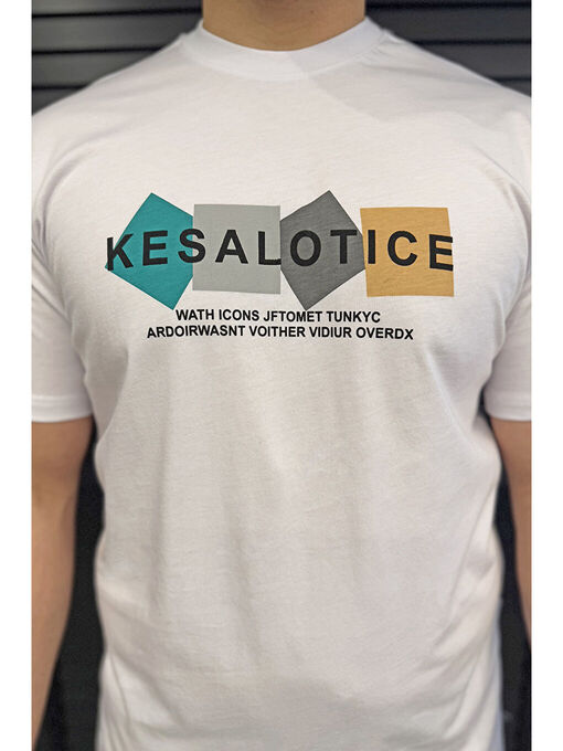 تی شرت آستین کوتاه سفید تی شرت آستین کوتاه مردانه ال سی وایکیکی