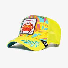 کپ مشترک گورین براز