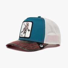 کپ مشترک گورین براز