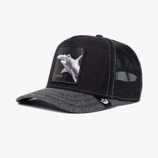 کپ مشترک گورین براز