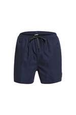 مایو مردانه کوییک سیلور