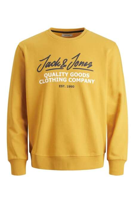 jack and jones company