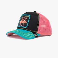 کپ مشترک گورین براز