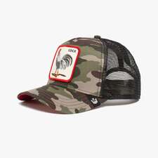 کپ سبز کپ مشترک گورین براز