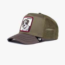 کپ مشترک گورین براز