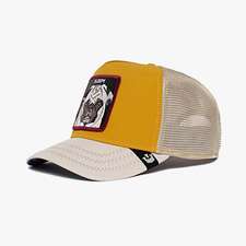 کپ مشترک گورین براز