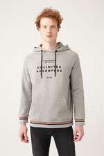 سوییشرت و هودی مردانه آوا