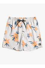 مایو مردانه کوییک سیلور