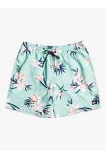 مایو مردانه کوییک سیلور