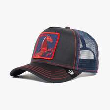 کپ مشترک گورین براز