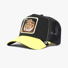 کپ مشترک گورین براز