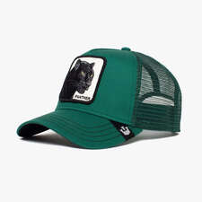 کپ مشترک گورین براز