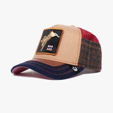 کپ مشترک گورین براز