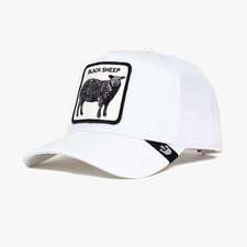 کپ مشترک گورین براز