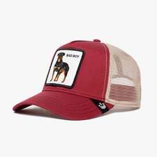 کپ مشترک گورین براز