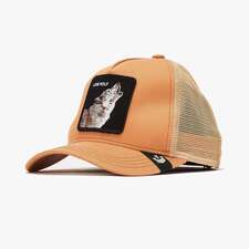 کپ مشترک گورین براز