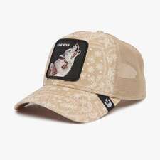 کپ کرم کپ مردانه / زنانه گورین براز