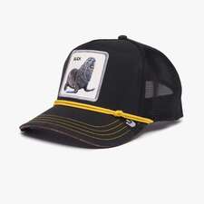 کپ مردانه / زنانه گورین براز