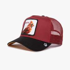 کپ مردانه / زنانه گورین براز